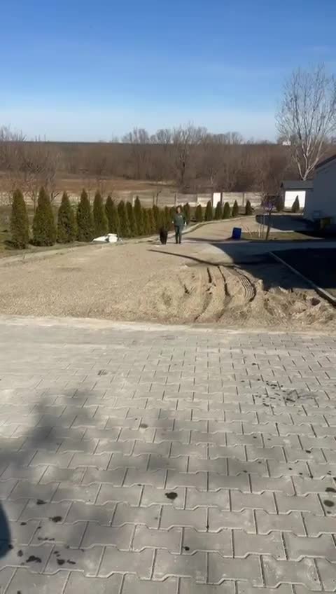 *** PRE RESERVATIE *** 🐾✨ Ontmoet F L Y N N E – jouw vrolijke beauty queen ✨🐾