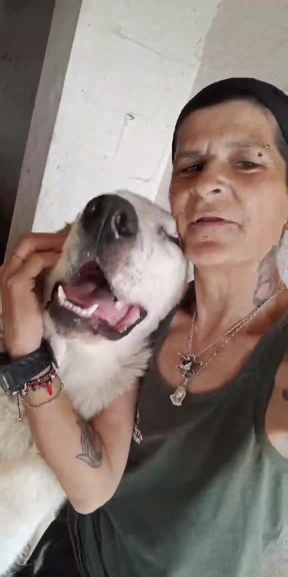 🐾 BALOO  💖 Een grote zachte knuffelbeer met een hart van goud 💖