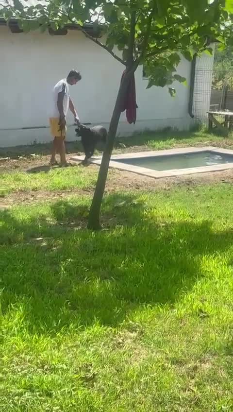 💖 JOSEPHINE – alias "Fientje" – Een hart van goud in een stoer jasje 💖