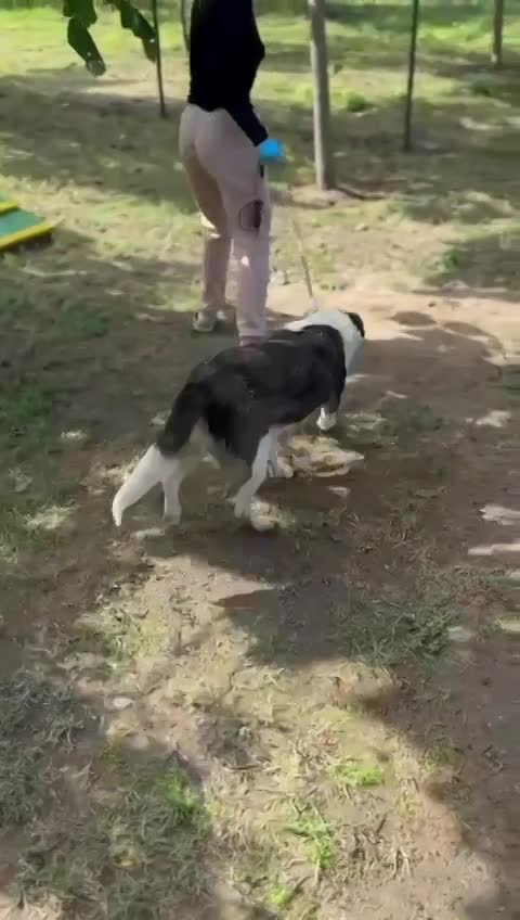 ✨ Flora "Floortje" –  altijd een glimlach op haar snoet ✨
