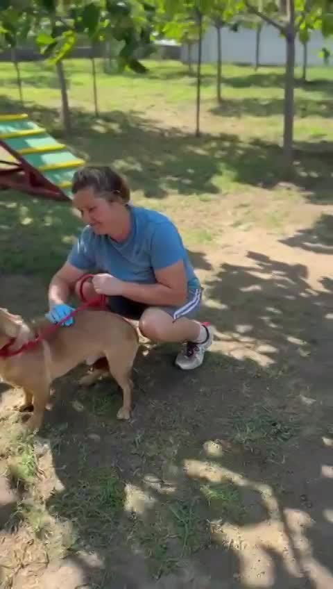 🐾 Mokka – een klein ventje met een zachte ziel 🐾