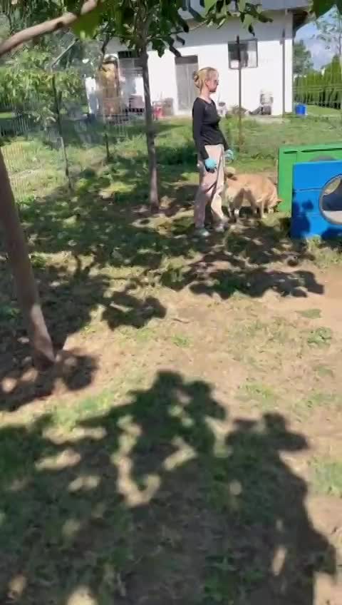 ✨ Elena "Leentje" – lief meisje met een zacht hart ✨