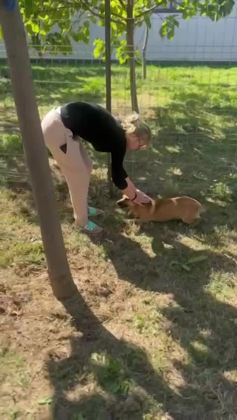 🐾 Kleine Duggie – een vrolijk ventje met een groot hart 🐾