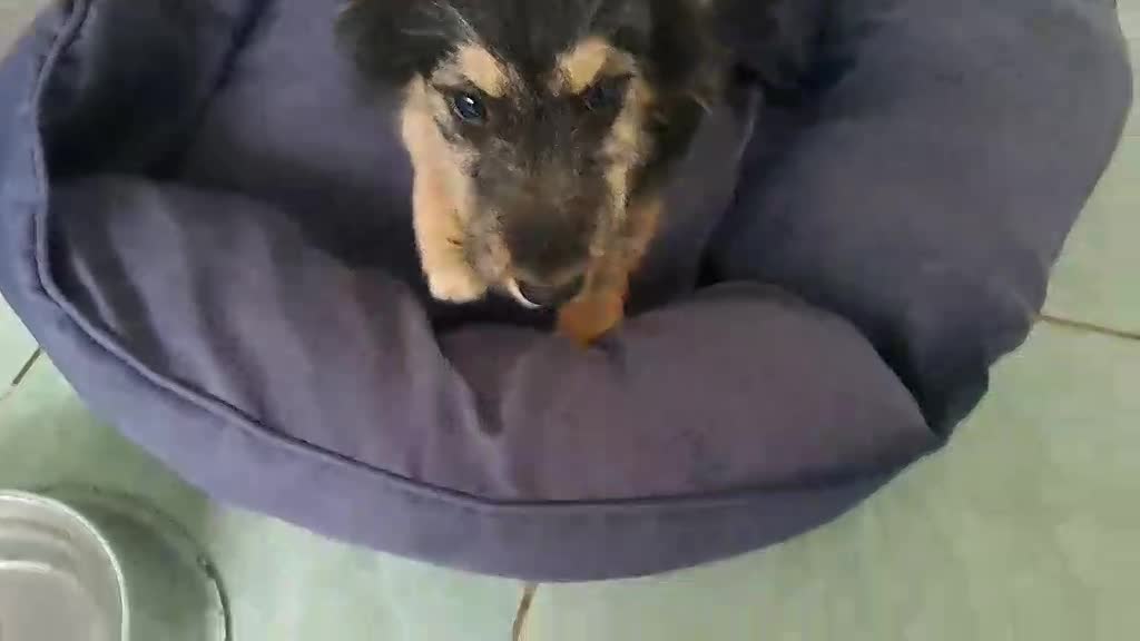 🌸 TAMARA – het zachte, tedere meisje met een bijzonder begin