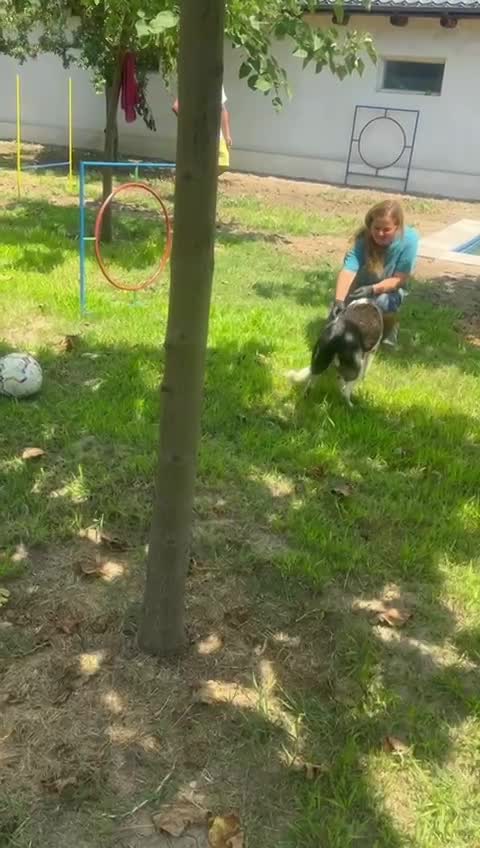 ✨ Flo “Floortje” – een glimlach die je hart verovert ✨