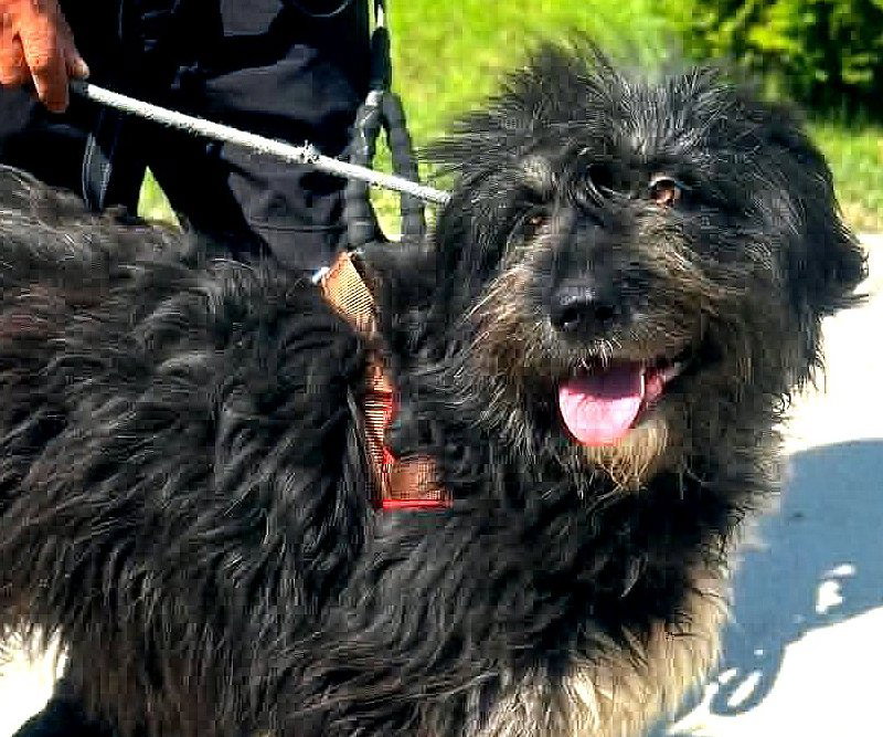 WINNIE