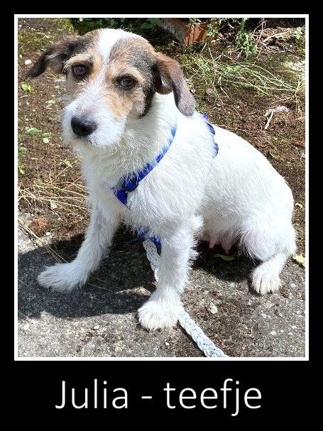 J U L I A   *** GEADOPTEERD ***