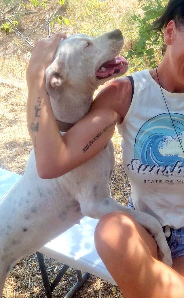 E V I T A   🙏🙏DRINGEND EEN THUISJE VOOR LIEF EEFJE (EVITA) 🙏🙏 