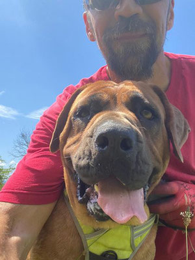 ❤ ❤ ❤ IS ER ERGENS EEN GOUDEN MAND VOOR GINA? ❤ ❤ ❤ 