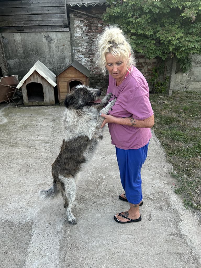 H A P P Y  *** GEADOPTEERD ***