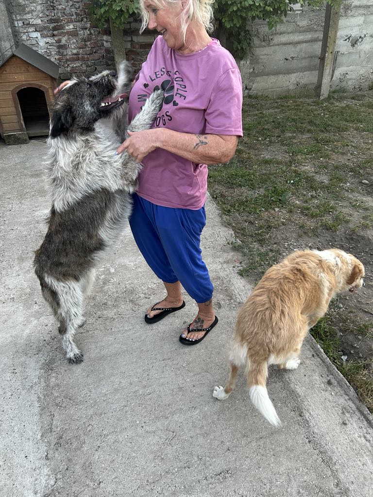 H A P P Y  *** GEADOPTEERD ***