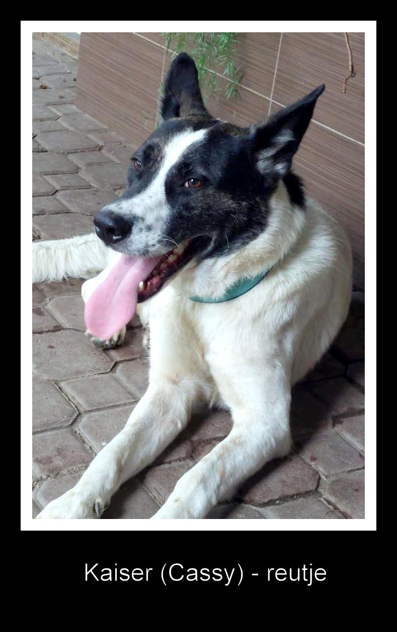 K A I S E R  (CASSY) 