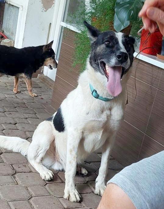 K A I S E R  (CASSY) 