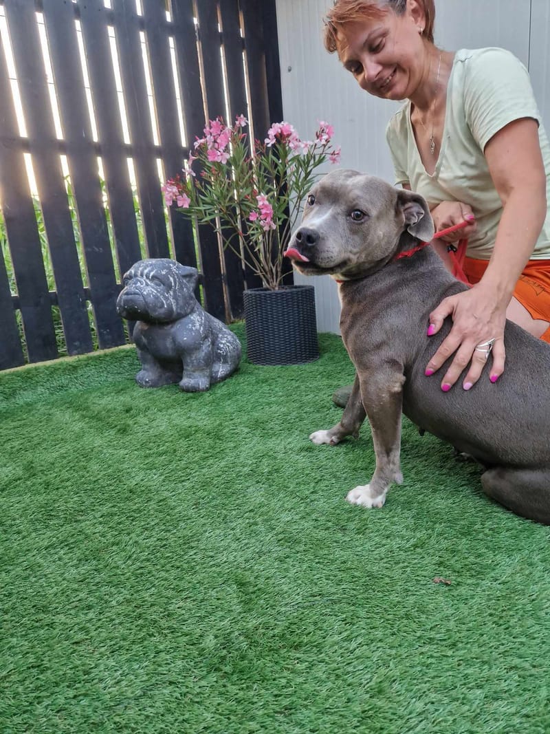 H E R A     ****   G E A D O P T E E R D   ****