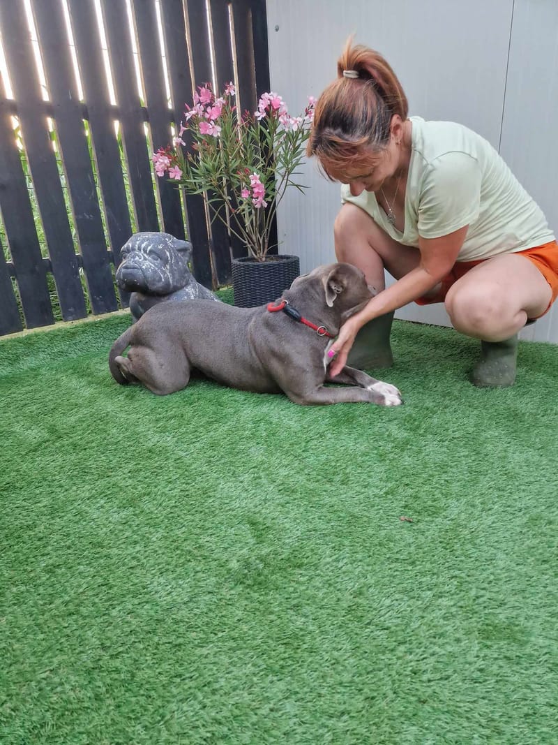 H E R A     ****   G E A D O P T E E R D   ****