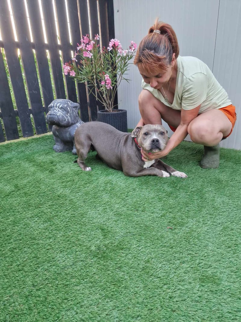 H E R A     ****   G E A D O P T E E R D   ****