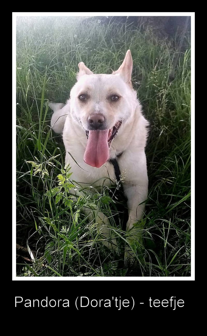 PANDORA (ALIAS DORA'KE) 