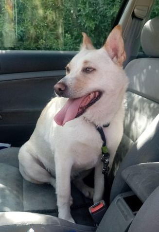 PANDORA (ALIAS DORA'KE) 