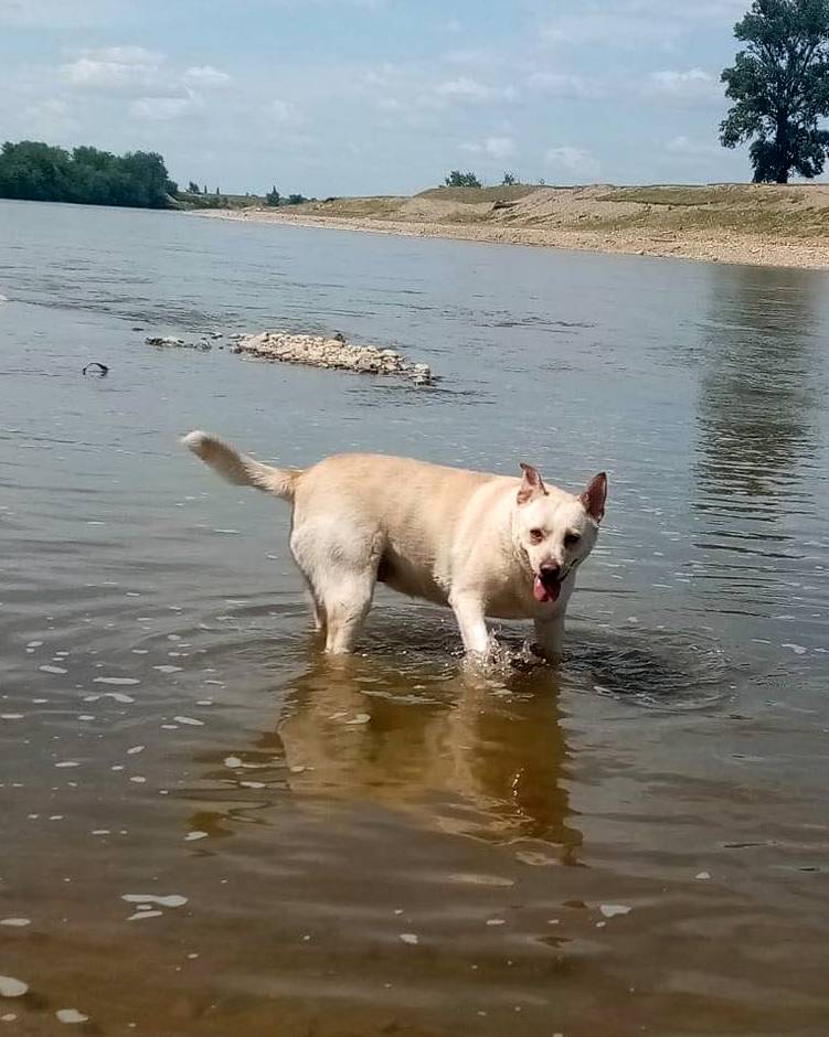 PANDORA (ALIAS DORA'KE) 