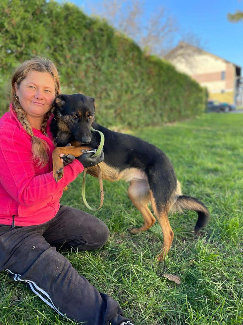 J E S S I E    ***   GEADOPTEERD  ***