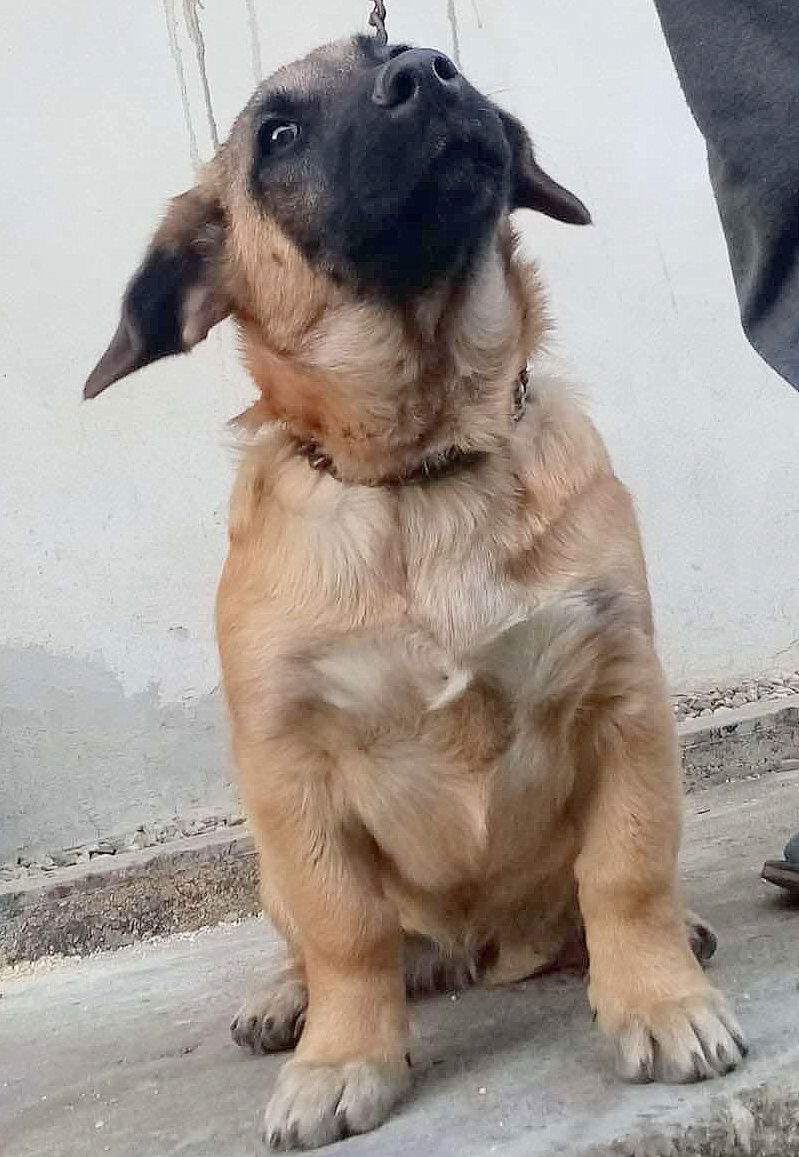 F L O O R T J E *** G E A D O P T E E R D ***