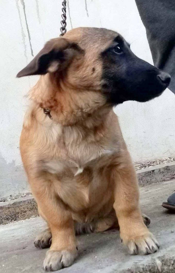 F L O O R T J E *** G E A D O P T E E R D ***