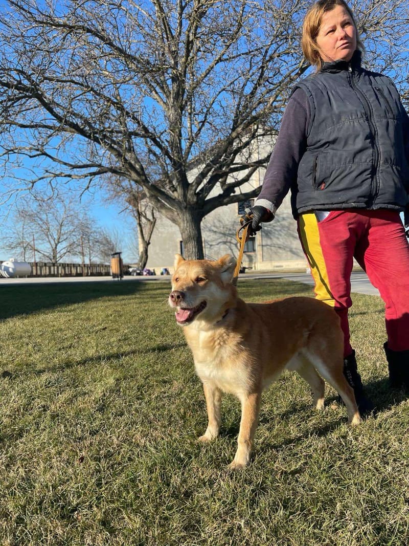 M I L O    ***  G E A D O P T E E R D ***