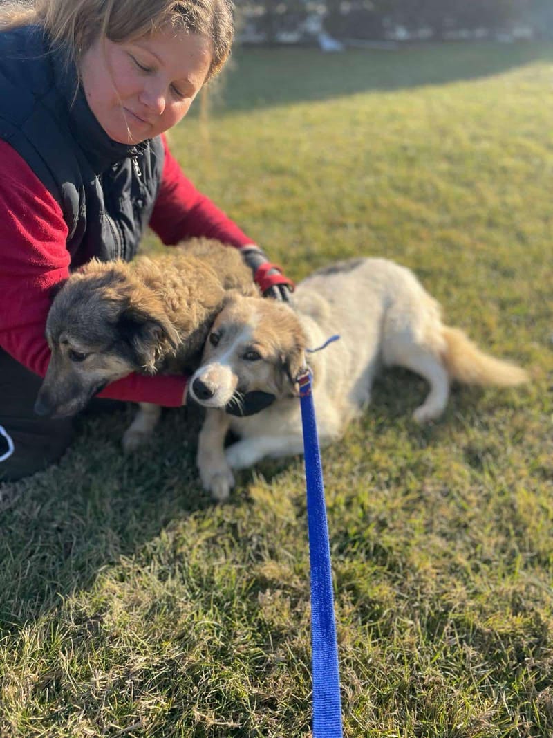 K A T O   *** G E A D O P T E E R D  ***