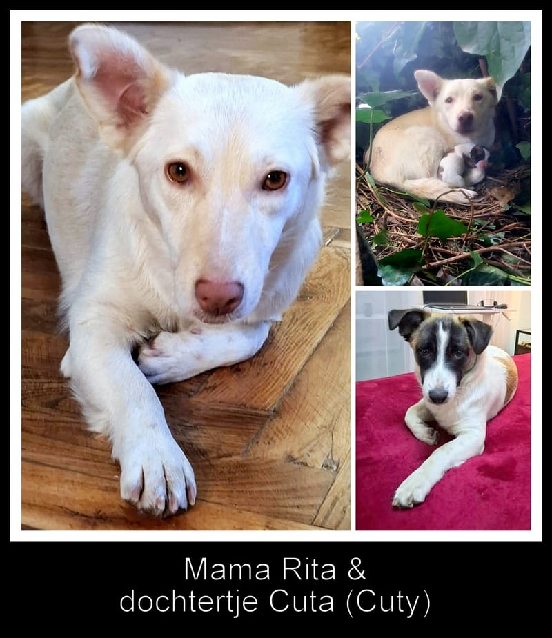 "M A M A" R I T A & "D O C H T E R T J E"  C U T A (C U T Y ) 