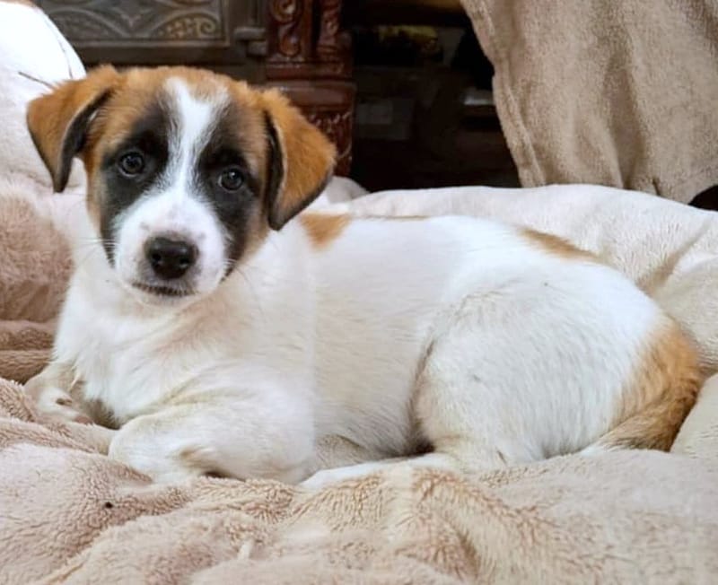 "M A M A" R I T A & "D O C H T E R T J E"  C U T A (C U T Y ) 