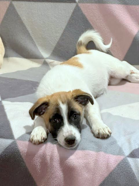 "M A M A" R I T A & "D O C H T E R T J E"  C U T A (C U T Y ) 