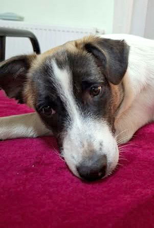 "M A M A" R I T A & "D O C H T E R T J E"  C U T A (C U T Y ) 