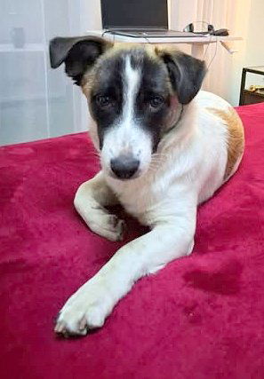 "M A M A" R I T A & "D O C H T E R T J E"  C U T A (C U T Y ) 