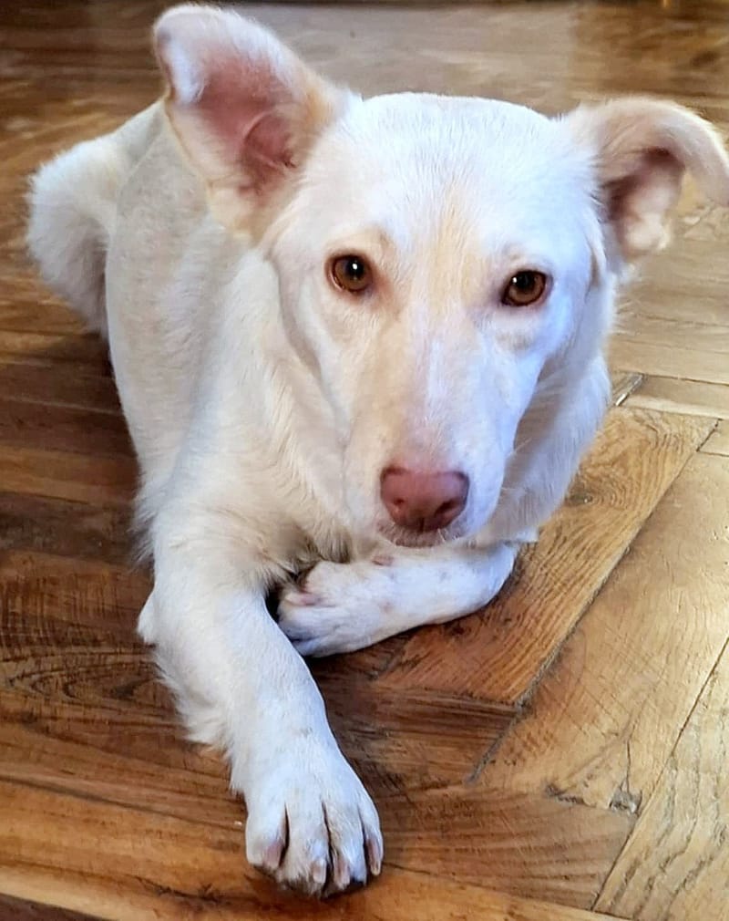 "M A M A" R I T A & "D O C H T E R T J E"  C U T A (C U T Y ) 