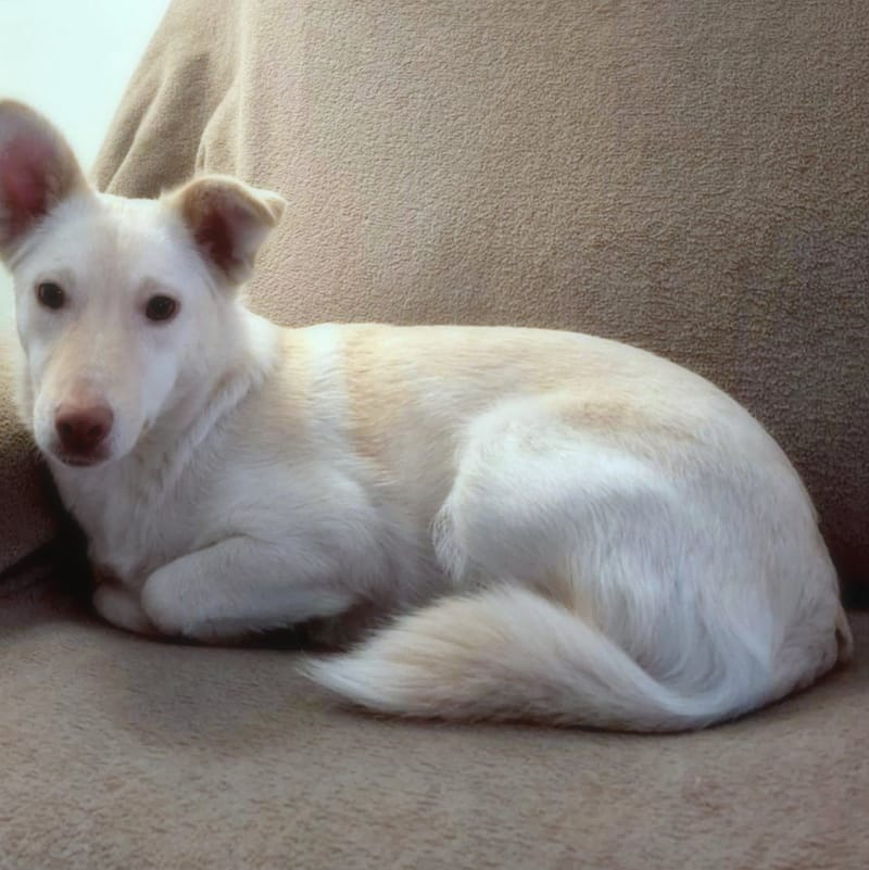 "M A M A" R I T A & "D O C H T E R T J E"  C U T A (C U T Y ) 