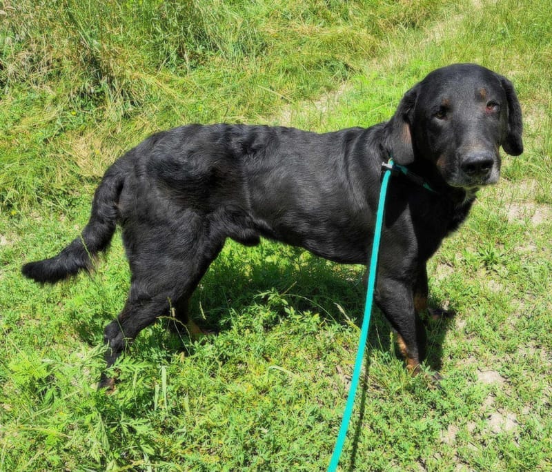 ๐๐โ๏ธ B A N D E R A Sโs verhaal ๐๐โ๏ธ