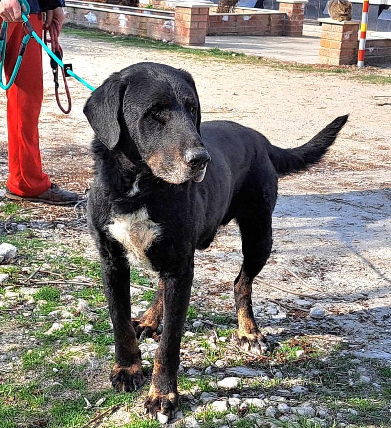 ๐๐โ๏ธ B A N D E R A Sโs verhaal ๐๐โ๏ธ