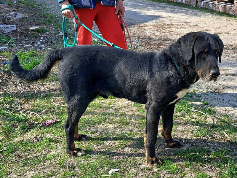 ๐๐โ๏ธ B A N D E R A Sโs verhaal ๐๐โ๏ธ