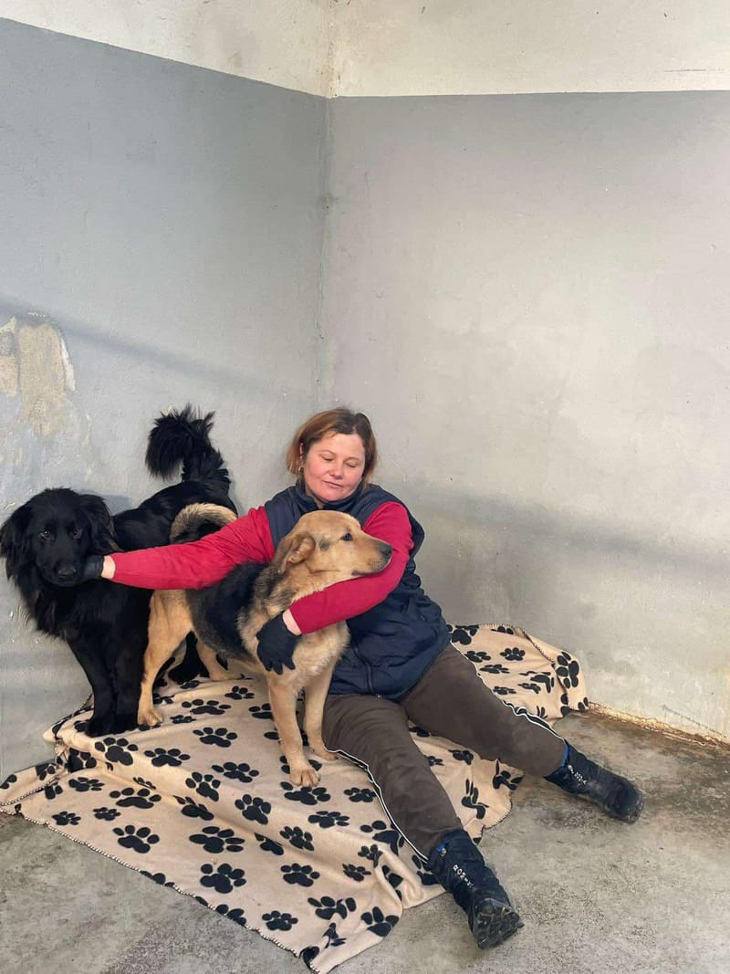 *** PRE RESERVATIE *** 💔🏡 CAMIEL HEEFT JOU NODIG – GEEF HEM EEN KANS AUB 🌟🐾