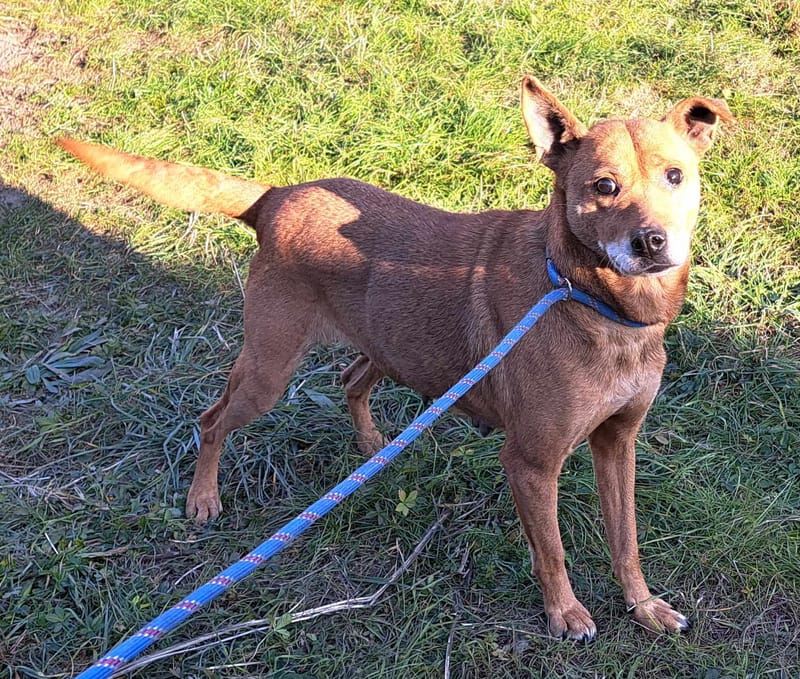 S T I E N T J E ( C R I S T I N A )