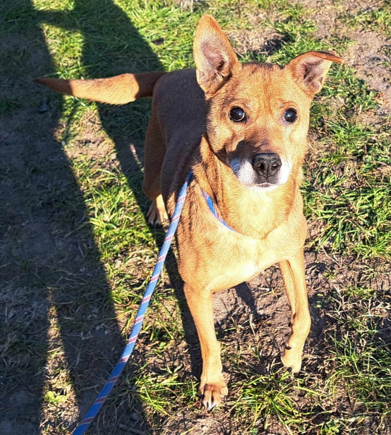 S T I E N T J E ( C R I S T I N A )