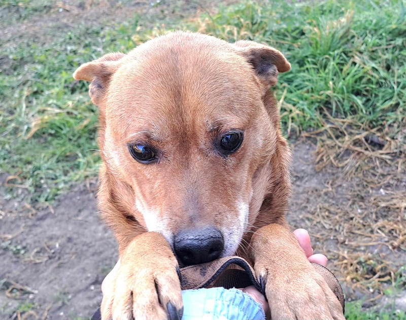 S T I E N T J E ( C R I S T I N A )