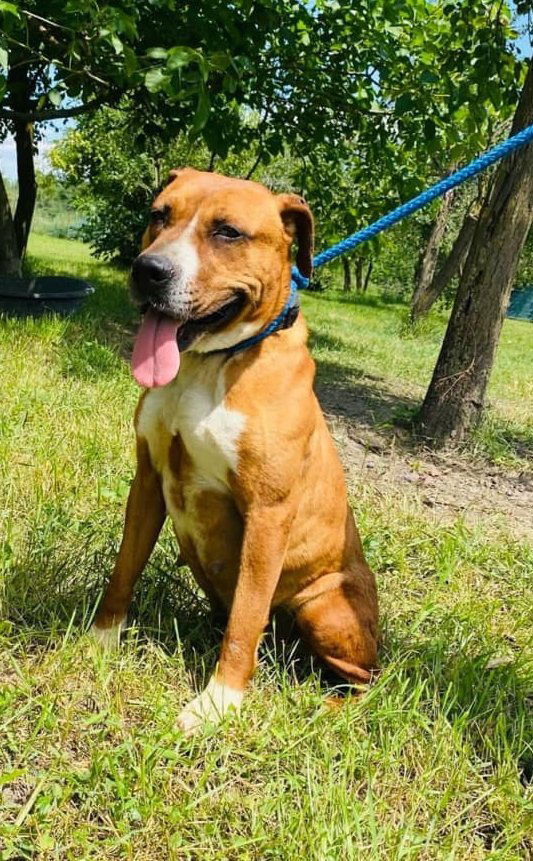 Z A Y D A   (Y D A'K E ) 