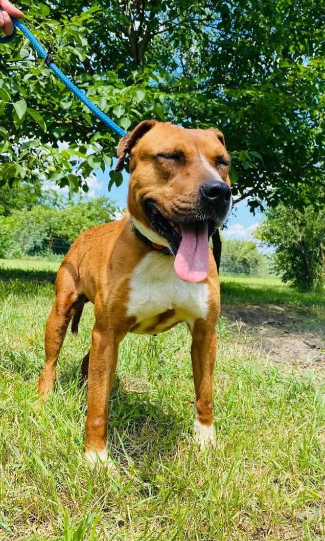 Z A Y D A   (Y D A'K E ) 