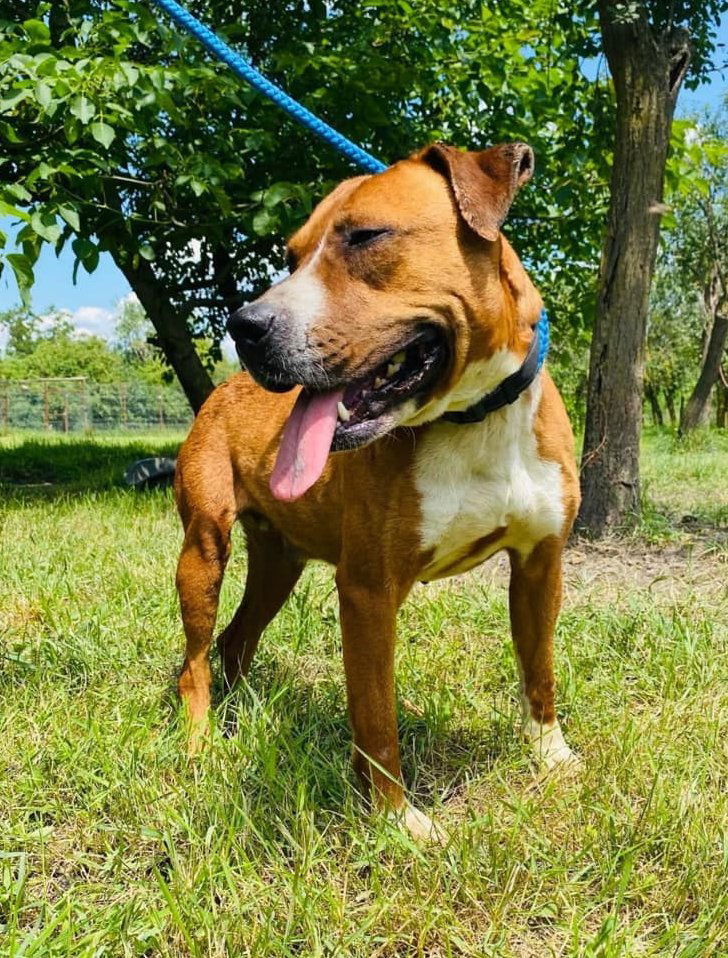 Z A Y D A   (Y D A'K E ) 