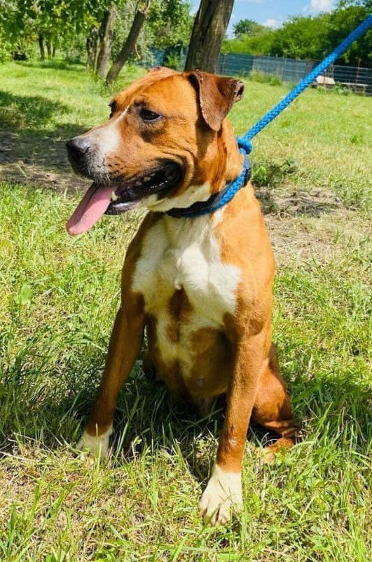 Z A Y D A   (Y D A'K E ) 