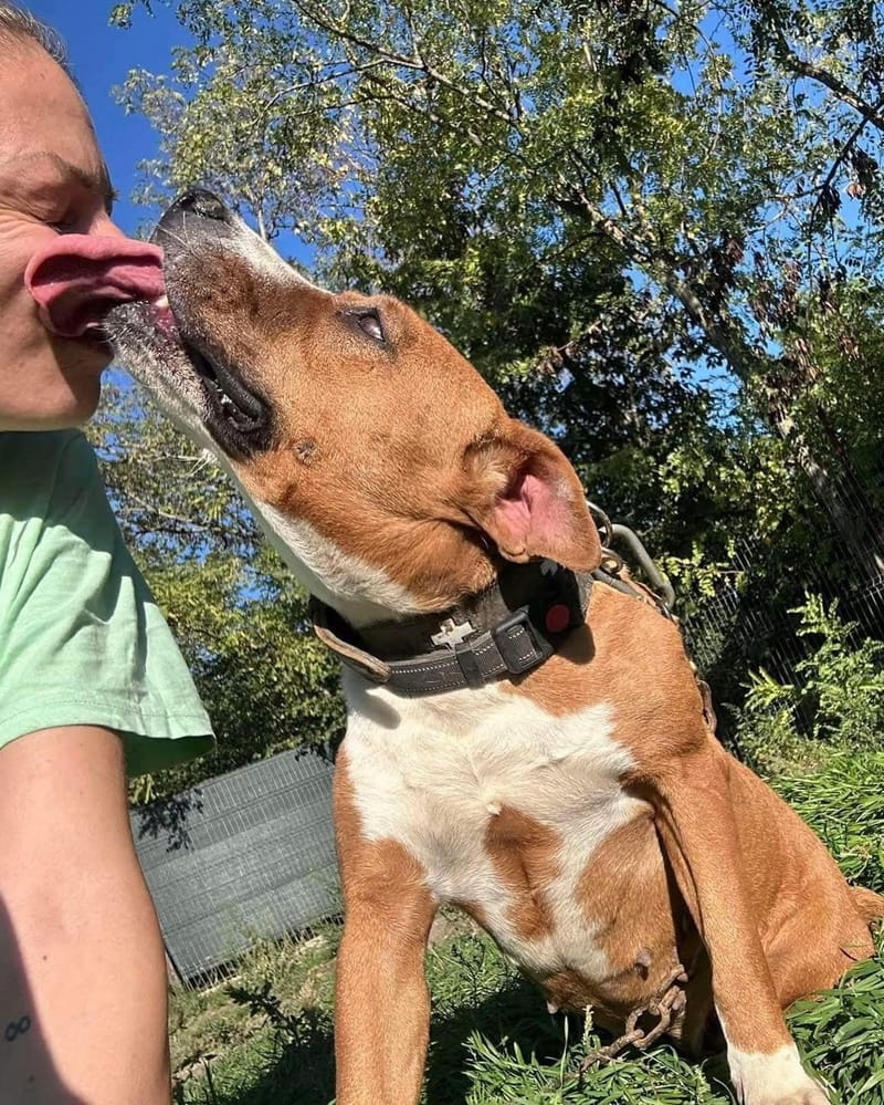 Z A Y D A   (Y D A'K E ) 