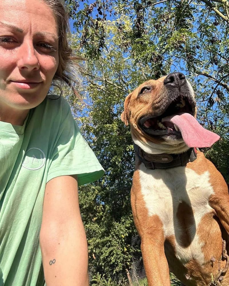 Z A Y D A   (Y D A'K E ) 