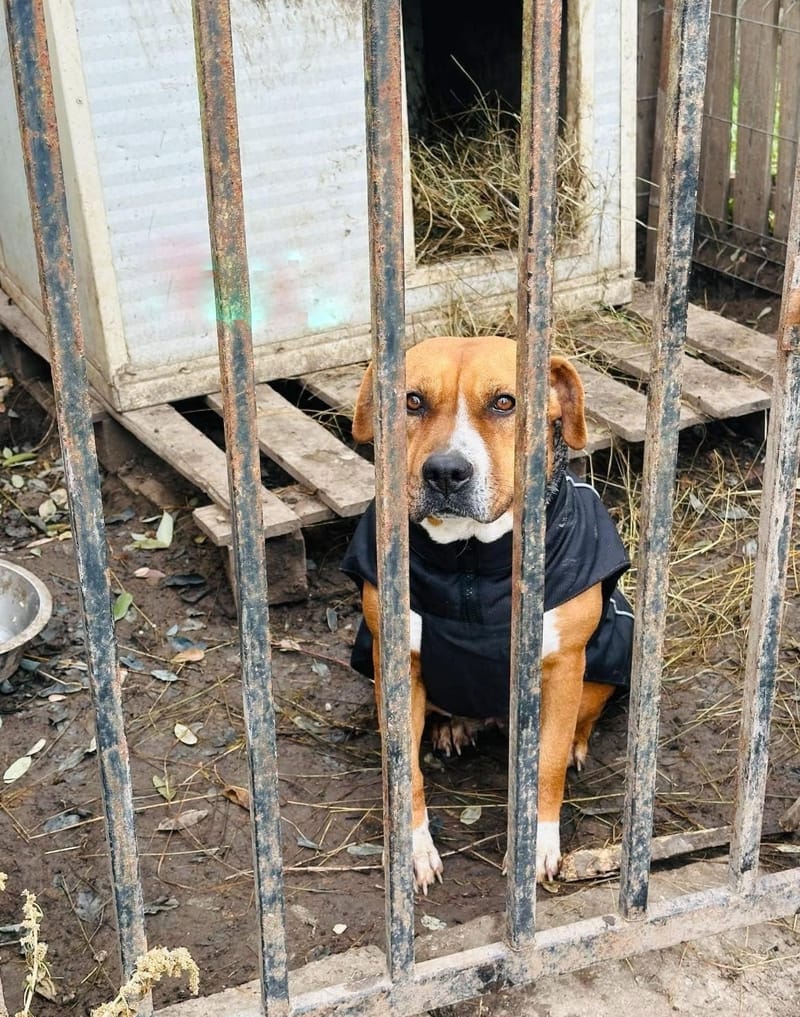 Z A Y D A   (Y D A'K E ) 