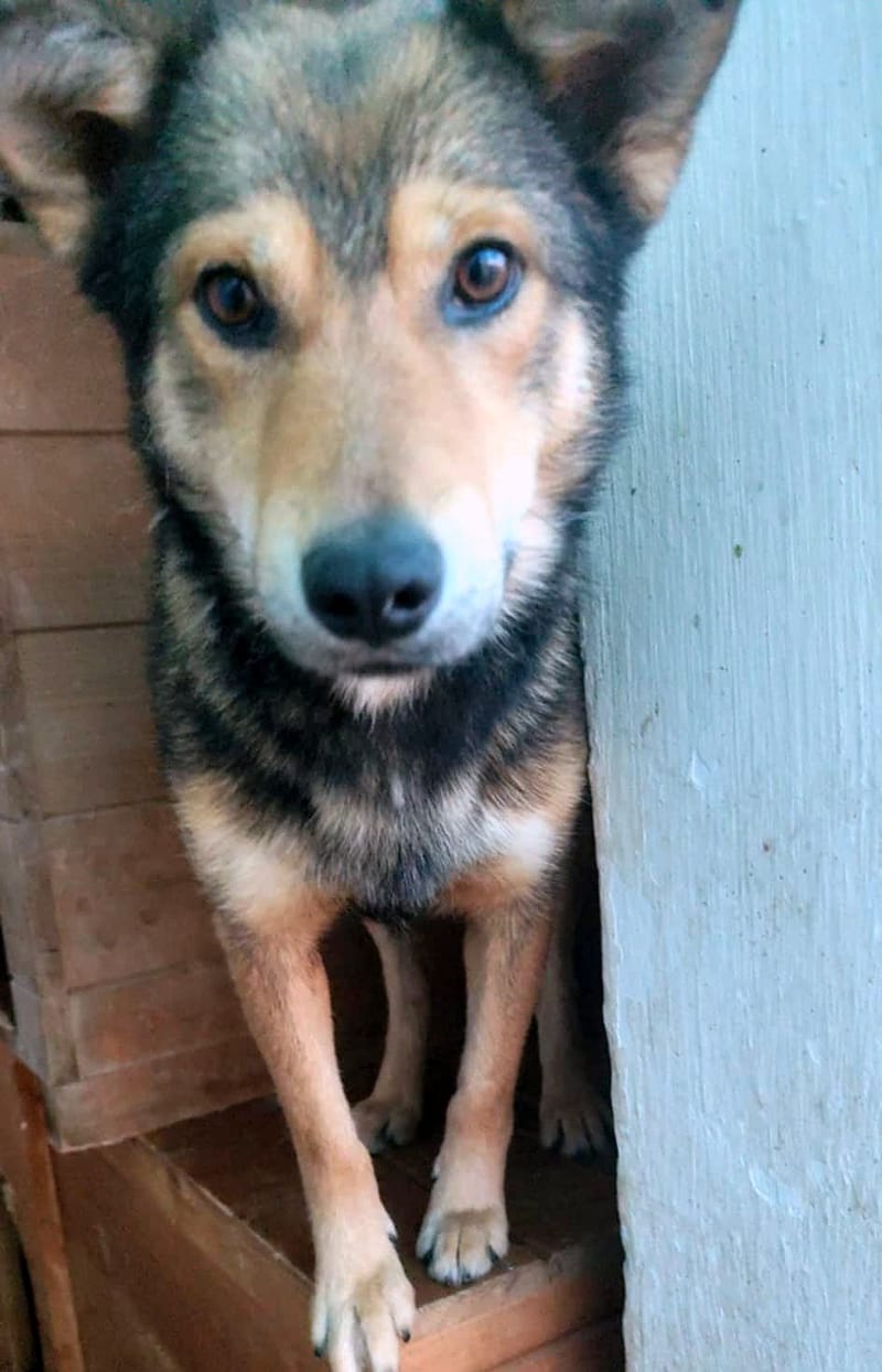 BOAZ: de onweerstaanbare knuffelheld vol liefde 💖